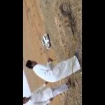 بالفيديو: مواطن يرفع ناقته على سطح منزله