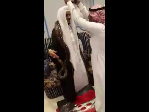 بالفيديو : سعودي يهدي صديقه “ثعبانا عملاقا” في ليلة زفافه