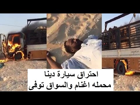 بالفيديو … حريق في دينا محملة بالمواشي.. وشاب يخاطر بحياته لإنقاذها بعد وفاة سائقها