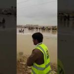 بالفيديو : الدفاع المدني ينقذ ثلاث شباب شارفت السيول على جرفهم