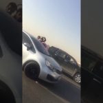 شايب مهايطي يتحدث عن بطولاته في مواجهة الثعابين وفجأة وجد في حضنه ثعبان.. شاهد ردة فعله!