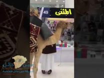 بالفيديو: سعودي يقود ناقة داخل مجمع اتصالات