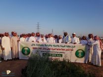 نفذ فرع وزارة البيئه والمياه والزراعة بمنطقة حائل ممثلا بادارة البيئة بالفرع برنامج تشجير منطقة حا ئل لعام٢٠١٩م بعدد٥٠٠٠٠خمسون الف شتله متنوعه.