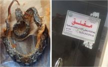 بالصور: مواطن يفاجأ بثعبان داخل وجبة دجاج مندي بأحد المطاعم
